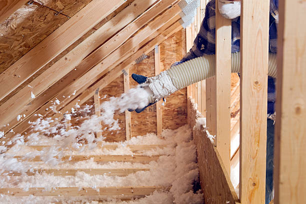 Best Attic Insulation Installation in Marshall, MO